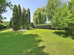 9mejJaCTBVpbQTlkiZXYJ3DCtSVEwasdw0eezyzO.jpg
