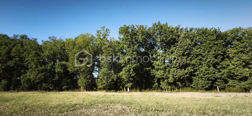 IzCQCOk1mG7gxMMFFLFzxmbdRvZFz43B5rfbybyj.jpg
