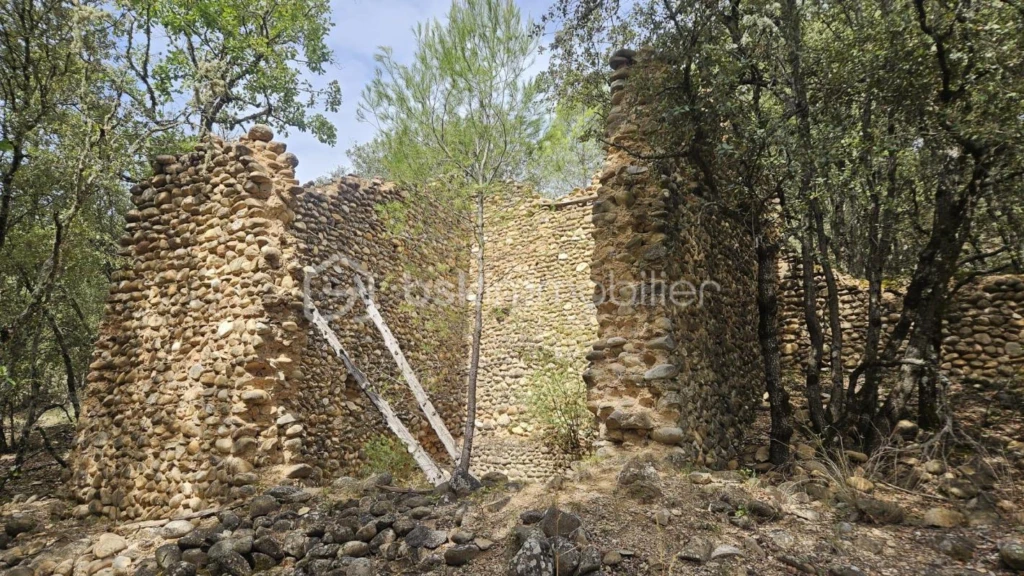 FHBzEcIghria4jWyQkcSbSO15mpf2NZsVgSPyBZL.jpg