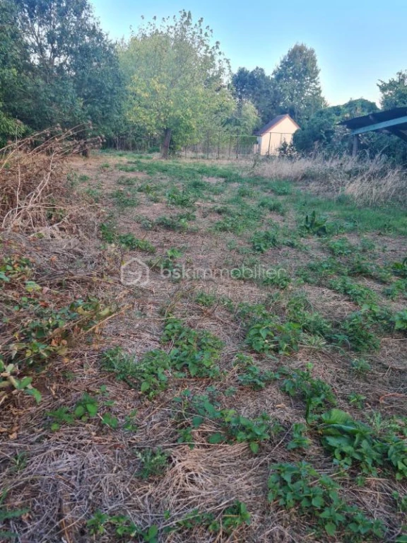qP5vzdIs8vNMgpX1utsvDzMccY7y7uarlRL84NlL.jpg