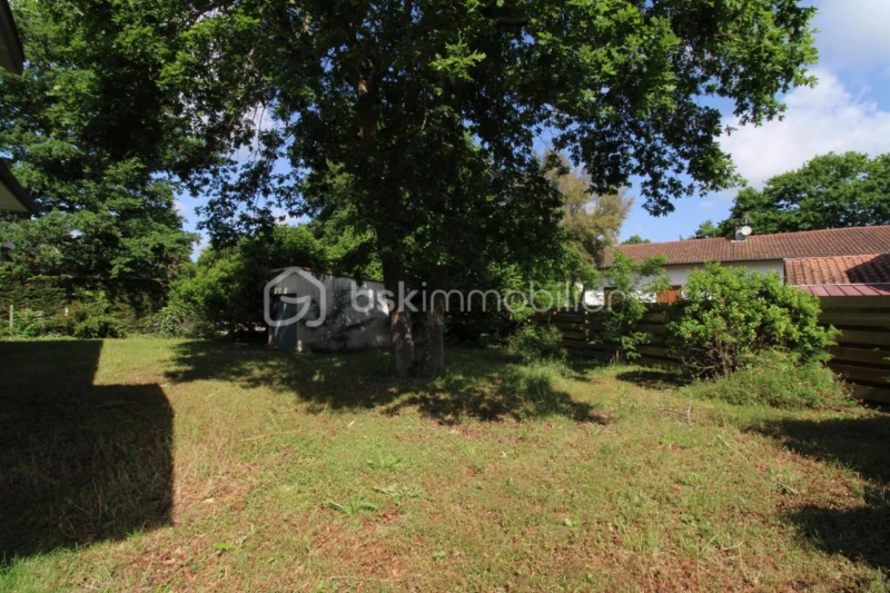9OZjNd6XveDLjVe1OuQBh9X9wHnssk4QEwUVW4O4.jpg