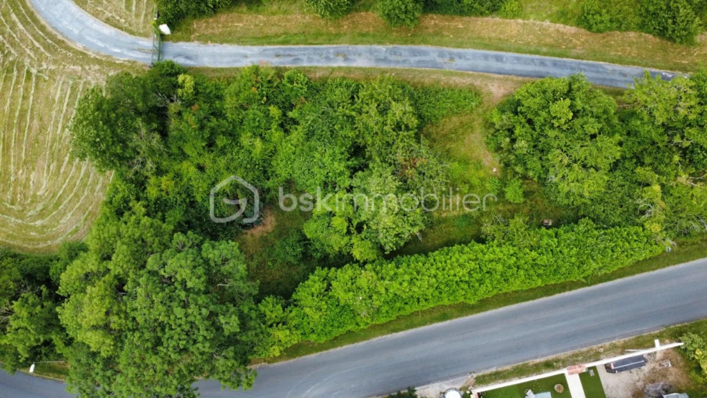 xbGIJeXDkSeh9X2y3YCa7uJriH6Gp96Eina5jVhe.jpg