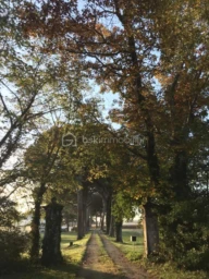 f46pPVBJRELBNZjNX5fIVeQ2BIW09jVMx7qqRGDI.jpg