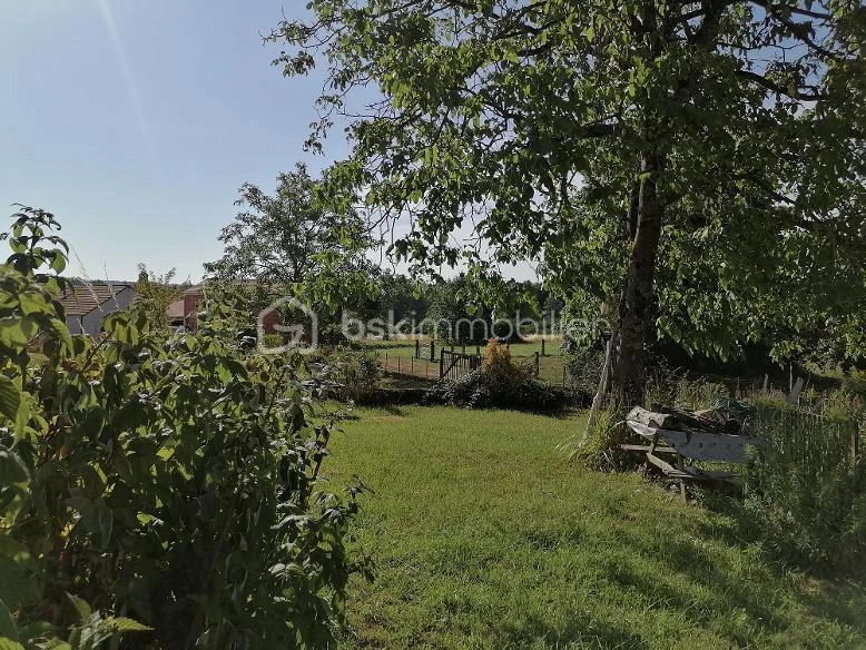 2x7g2sgxEBzSUT16zV21pAUlEKWcrxCbGezH65Jh.jpg