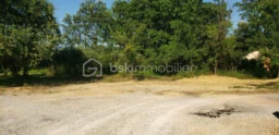 ekS2ihpLRyNgEcvgDjTAfJ97qU4QaowF8eOqy7MW.jpg