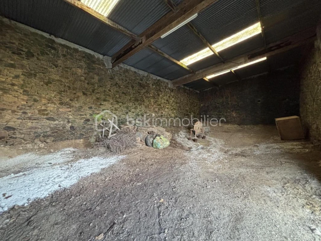 dNsLizQlK7w9lr8FgxfXbWPyg3RpsjG6o3DuwbXy.jpg