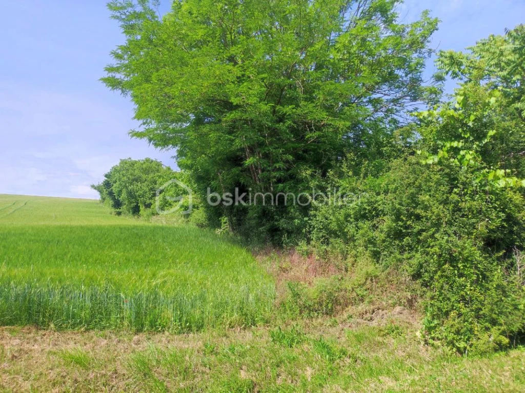 32P4OT3LZzSiwPXeyMsoPXI9en31ClpF2ZvkAdbg.jpg