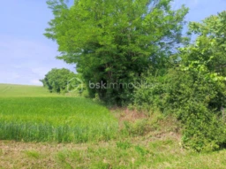 32P4OT3LZzSiwPXeyMsoPXI9en31ClpF2ZvkAdbg.jpg