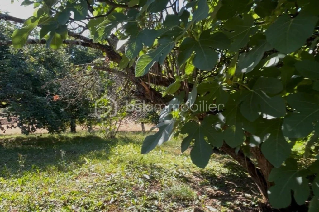 NDP89kznOXXs1aHwv0Yrpj8jKJRFQvbbN8VzqqxU.jpg