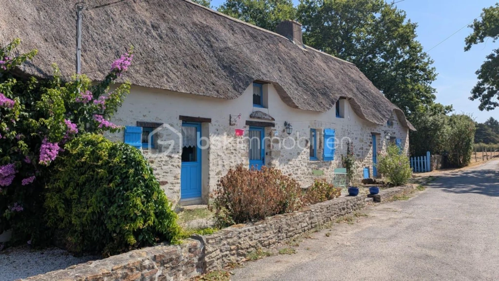 l1v2q8jg82xPMZTU9LloPiOCL8UmWLkog1yEfKvV.jpg