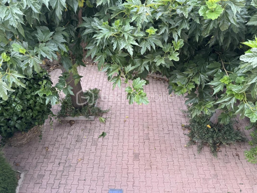 sQKObvmc0coP1bnuIcUxq9ntVFmlYlQH1GAwy1Qn.jpg