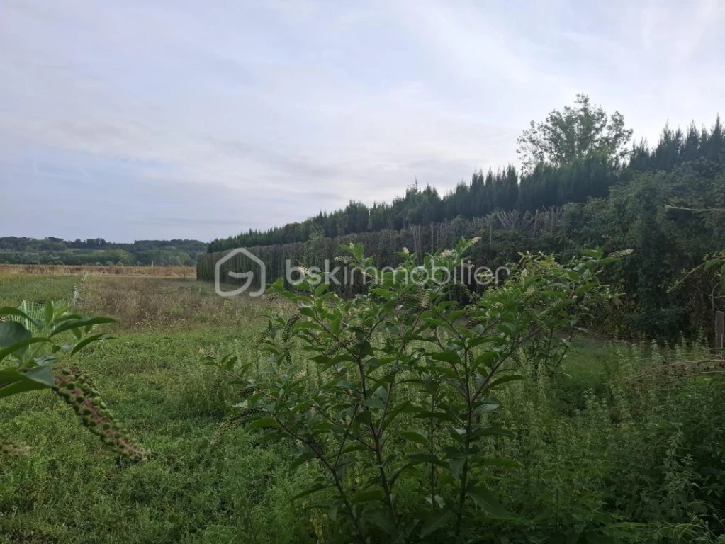 satATYEqUtbBvG4jJ5hzic5H22n72j0V5aMLiw1S.jpg
