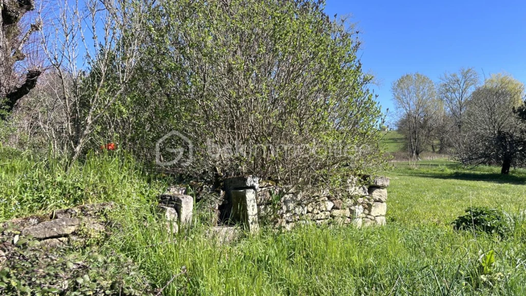 t8VRB34piQXiLmcAfGFcF0eJFZ2wxIJh7NZjt79c.jpg