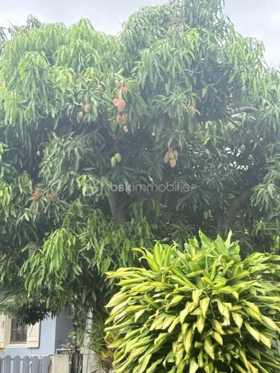 5lUQikscarGRThvtfAD1l22jsBnMFz91GdeRHa6f.jpg