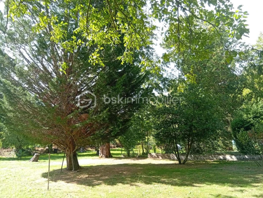 AdmLd87v663E0iRkNLxarDwe8EDDQtTe3axcOXth.jpg