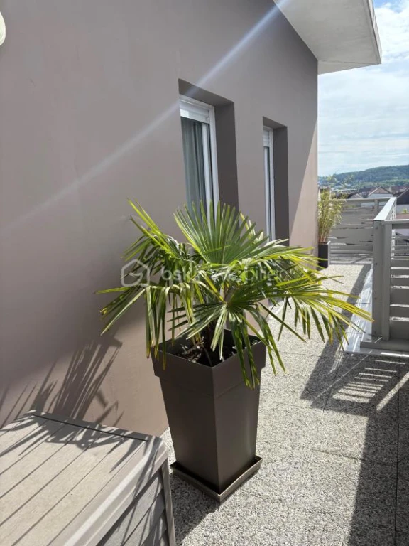 Co0wXf4wWgagqDDYSXcjpAhSrPPOjueZGLDY55g5.jpg