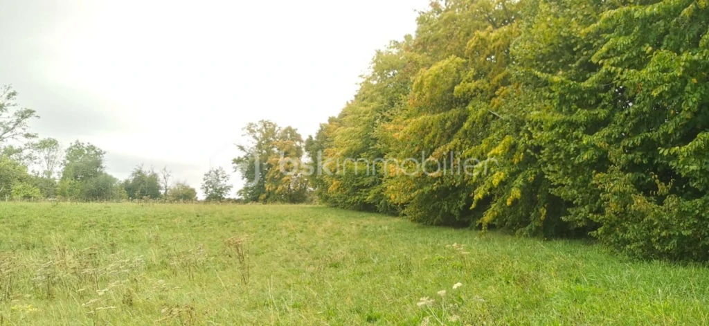3R3Sv0bZCWaJUEGOLnavuM40Wqdly9Cg9T6f2CwC.jpg