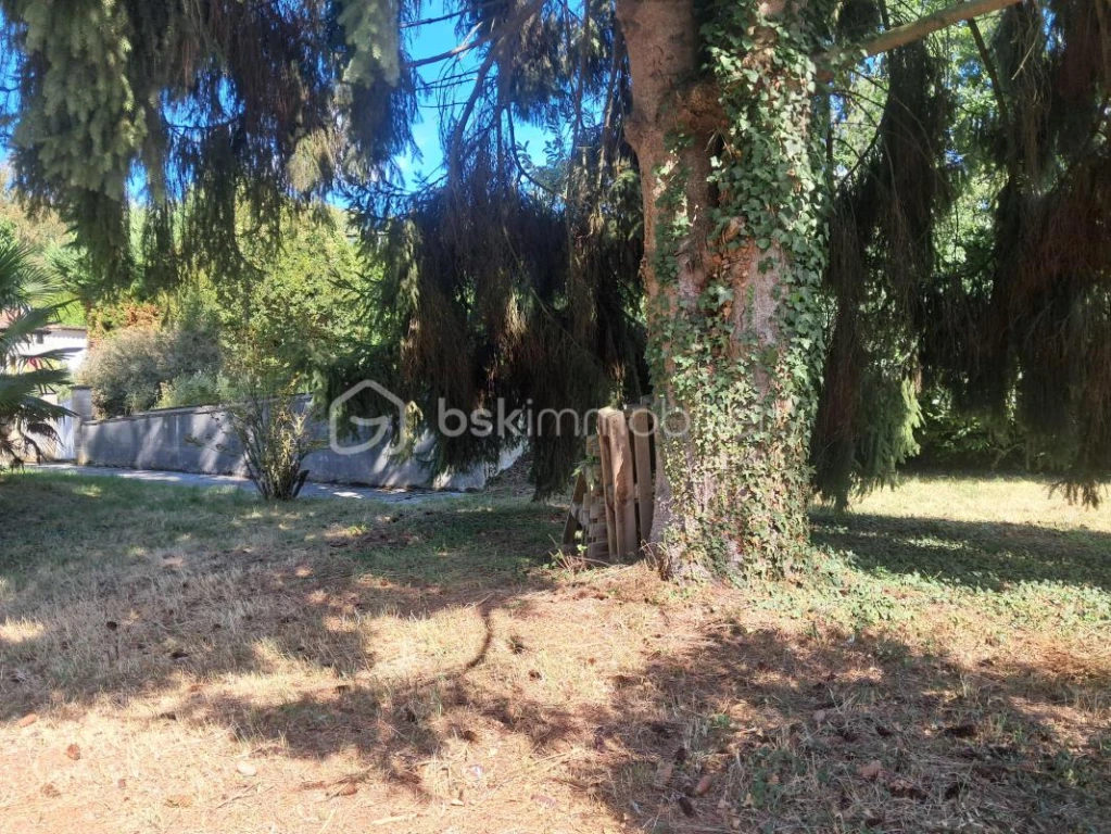 FtaKDjA1ONB2E4xA7SIl63LzTG3rtEPWUpJxX3wS.jpg