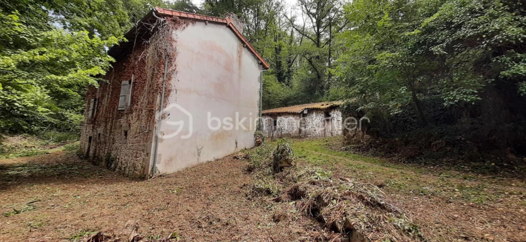 ZxCHXotThA2eTGzWyBC9fkiNrn6xrbRAl2wKXmH5.jpg