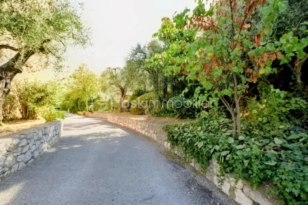 HAPOl7kidotgmwuQsmO45gleJWTrpQ0HdZNesUIS.jpg