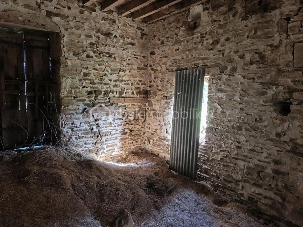 typH8wbokuYdjxOUeFYgi5RQsayvdadmDTyiQ6P9.jpg