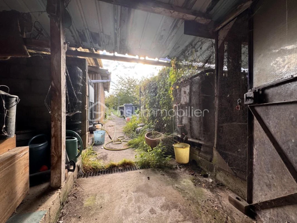 rm6mnyQ2ecGMuySVdTZLFaYB7SDtt0FFxgFwpK1q.jpg