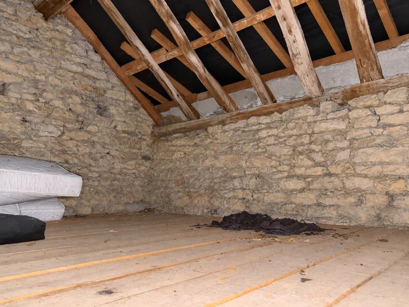 Photo8