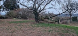 Photo1