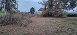 Photo1