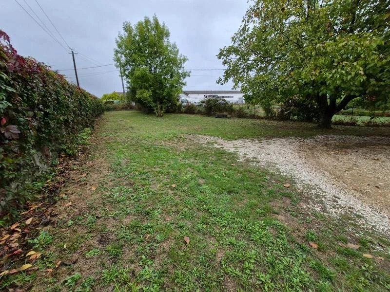 Photo1
