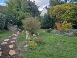 Photo3