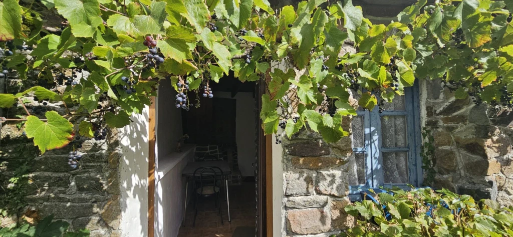 Maison 2