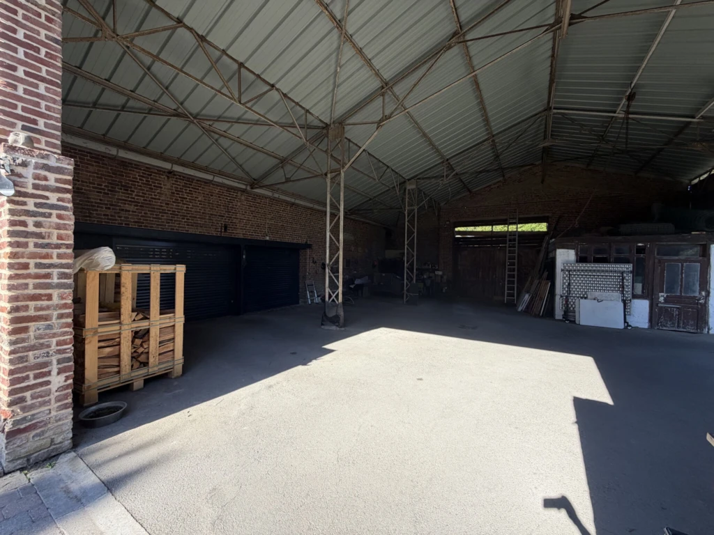 Photo 12