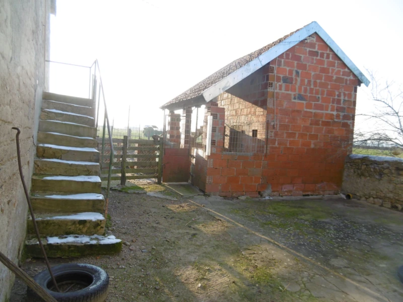 Photo 13