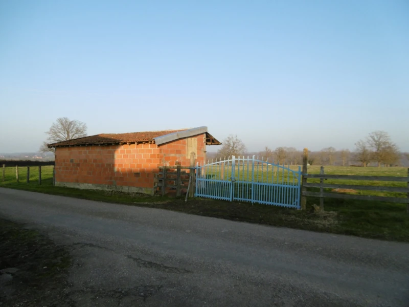 Photo 15