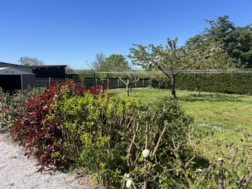 Photo 19