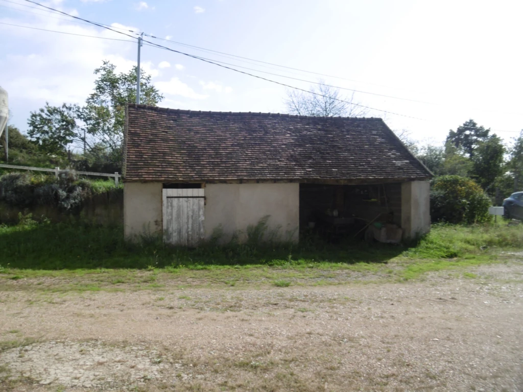 Photo 4
