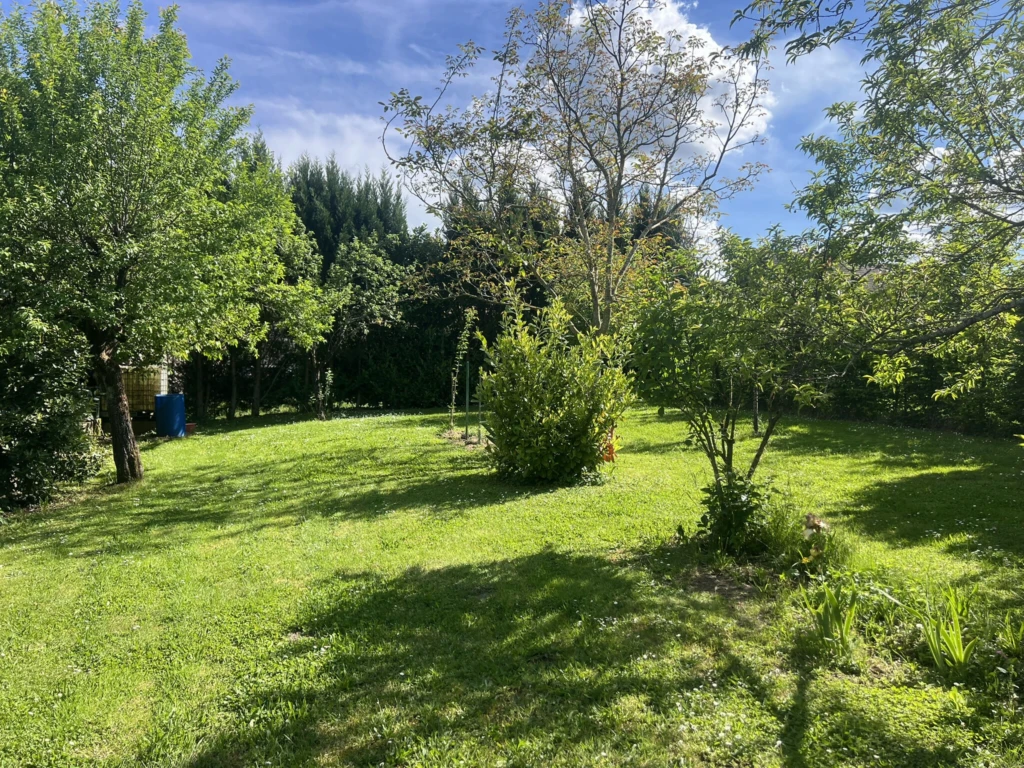 Photo 28
