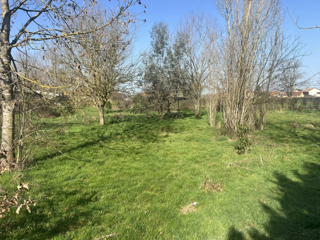 Photo 29