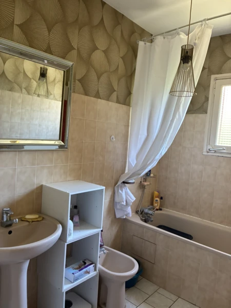 n°6