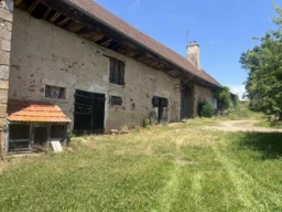 n°10