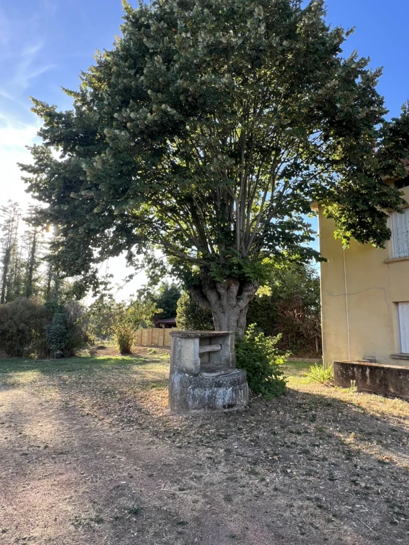 n°14