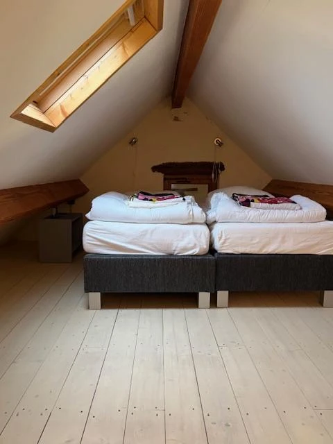 n°10