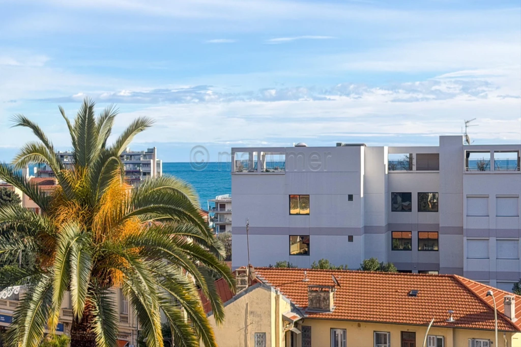 T2 avec terrasse vue mer + garage 06190 Roquebrune-Cap-Martin n°7