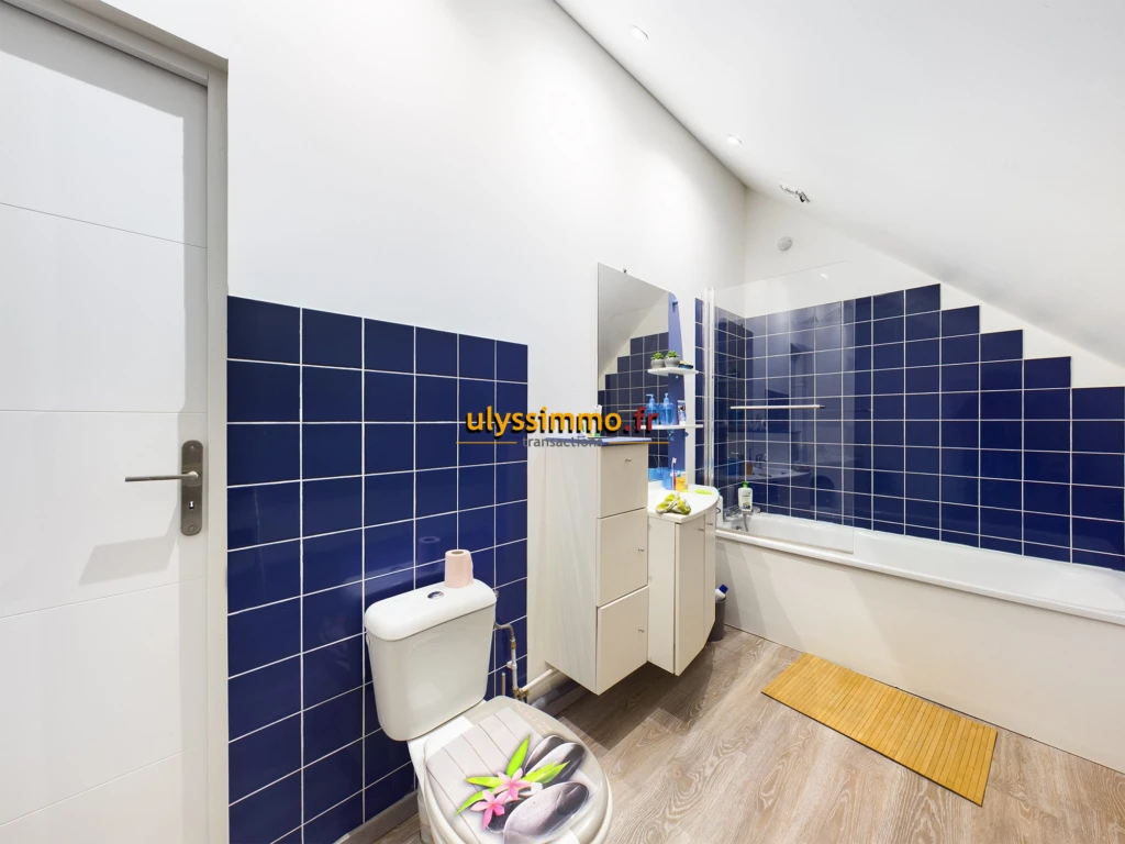 salle de bains RDC