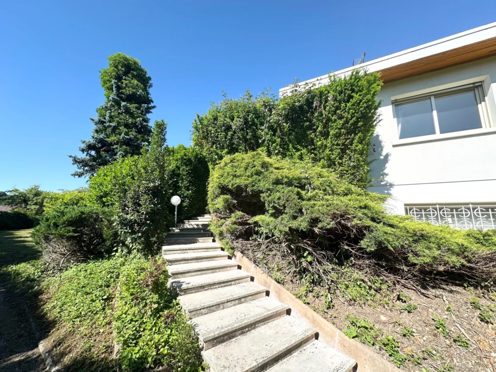 Jardin arboré