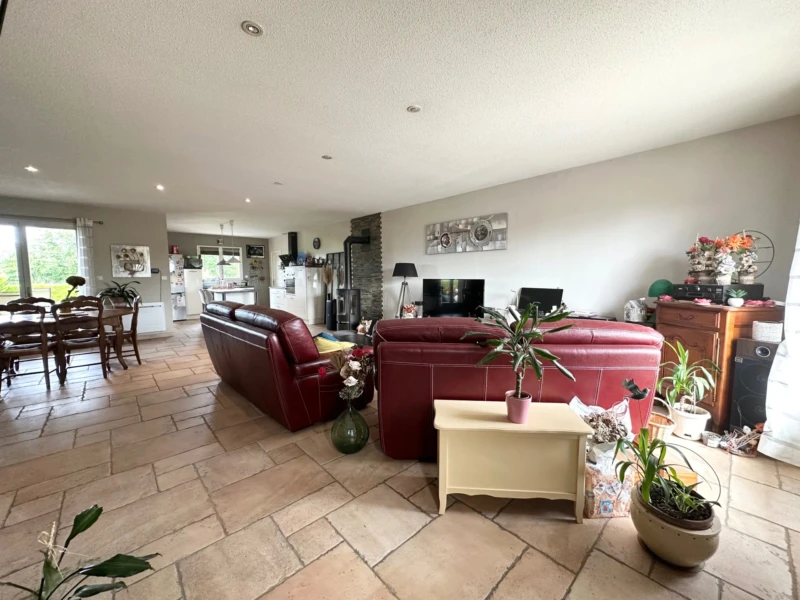 Cuisine ouverte sur le double séjour traversant de 62 m²