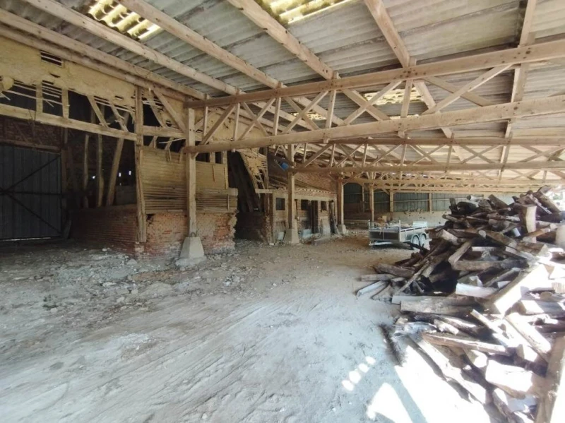 Photo 19