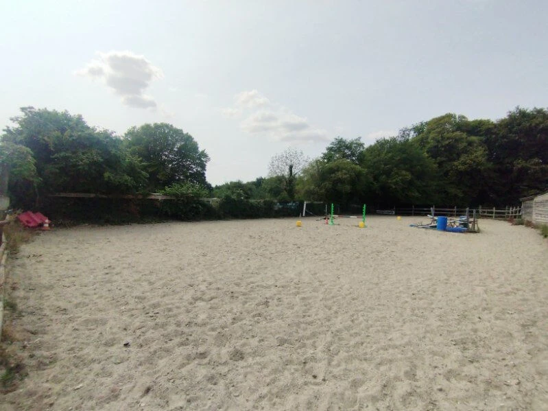 Photo 15