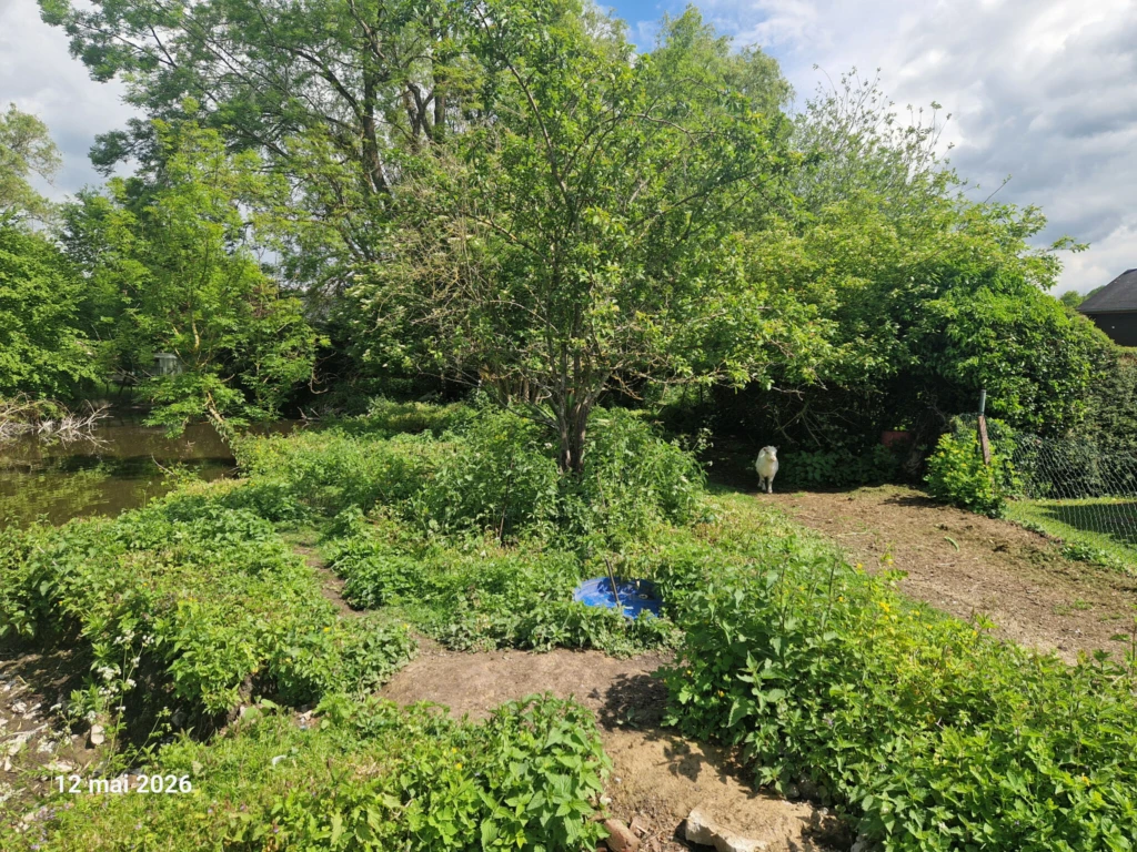 Photo 12